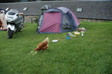 Farm camping